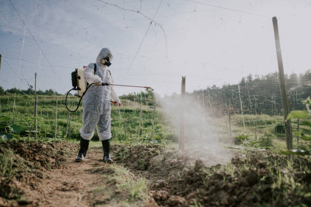 Best Pest Removal Services  in Westby, WI