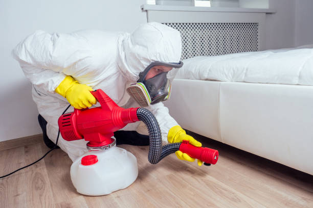 Best Affordable Pest Control Services  in Westby, WI