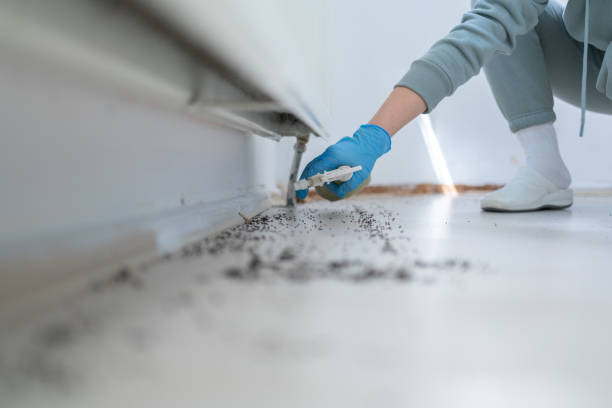 Best Cockroach Control Services  in Westby, WI